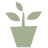 plantje